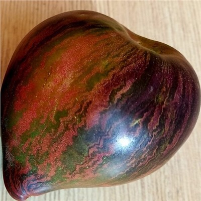 7052T Томат Мятежный звёздный истребитель (прайм) 10шт