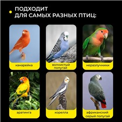 Кормушка для птиц внешняя, 6.7×6.2×8 см