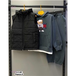 Костюм тройка 1839380-1