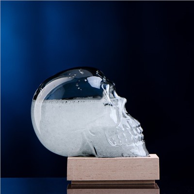 Барометр - штормгласс TAKE IT EASY «Череп», 10×9 см