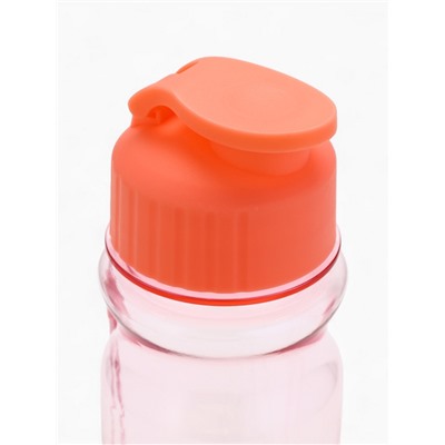 Бутылка для воды пластиковая «Капибара», 500 мл