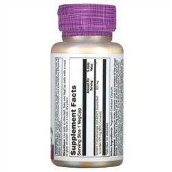 Solaray, Turmeric Root Extract, One Daily, 600 mg, 60 VegCaps