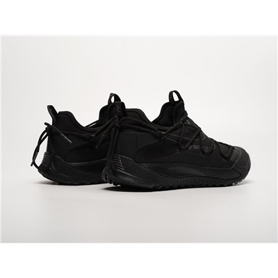 Кроссовки Nike ACG Air Terra Antarktik Low