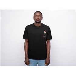 Футболка Arcteryx