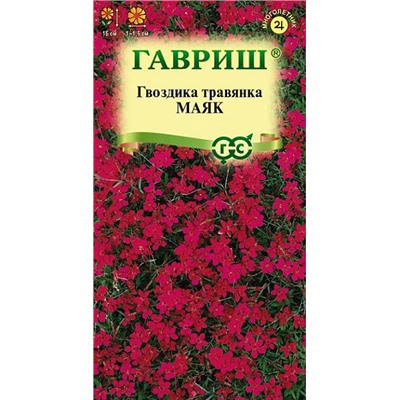 Гвоздика Травянка Маяк (Код: 92905)