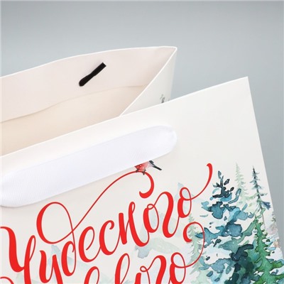 Пакет подарочный новогодний с широким дном «Чудесного Нового года», 25×19×18 см