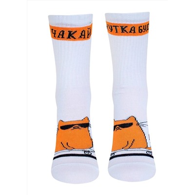 БРЕСТСКИЕ Носки 4201