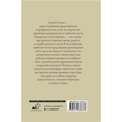 527338 АСТ Сергей Есенин "Поэзия. Все в одной книге"