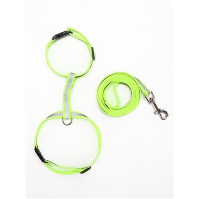 Комплект для кошек светоотражающий, ширина 1 см, шлейка 21-35 см, поводок 120 см, зелёный