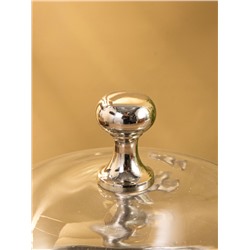 Тортовница со стеклянной крышкой, 20.5×20.5×16 см, нержавеющая сталь