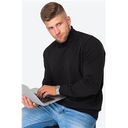 Мужской джемпер с высоким воротом Happyfox