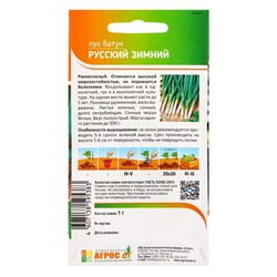 Семена Лук батун «Русский зимний», 1 г, «Агрос»