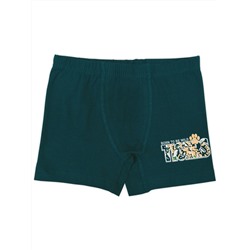 3390 Боксеры для мальчика многоцвет (BAYKAR)