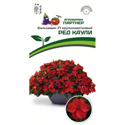 3285P Бальзамин F1 крупноцветковый РЕД КАУЛИ 5шт