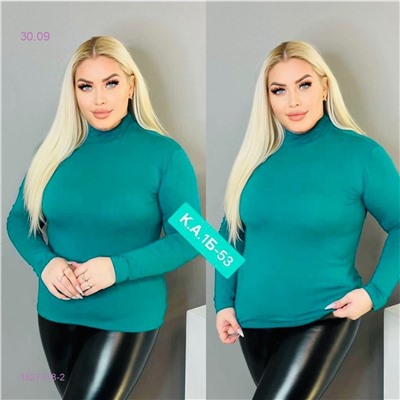 Водолазка 1827578-2