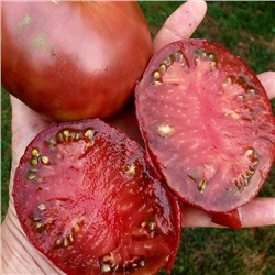 7152T Томат Шоколадница 10шт