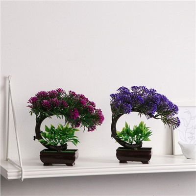 Бонсай искусственный в горшке «Селагинелла африканская», 10×20 см, МИКС