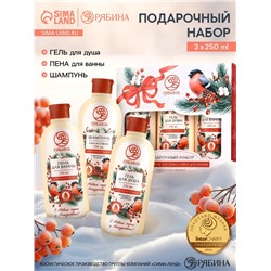 Подарочный набор косметики новогодний «С Новым годом и Рождеством», гель для душа, шампунь и пена для ванны 3×250 мл, РЯБИНА
