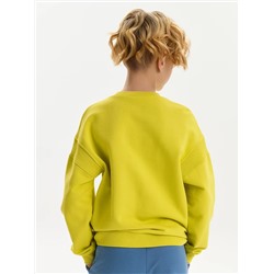 PELICAN Толстовка BFN3387U