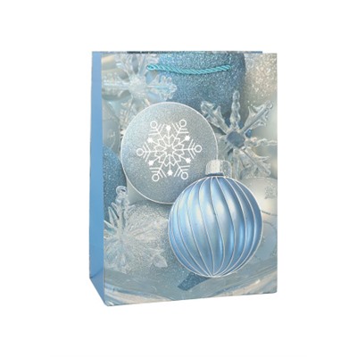 Пакет подарочный 18х24х8.5 / 10220-S /уп 12/720/Новый год микс