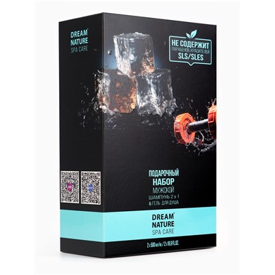 Подарочный набор мужской DREAM NATURE SPA CARE «Сила льда», шампунь 500 мл, гель для душа 500 мл