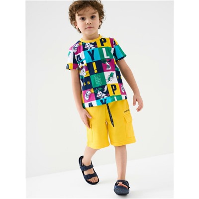 Фуфайка трикотажная для мальчиков (футболка)