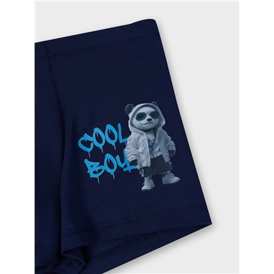 ТРУСЫ ДЛЯ МАЛЬЧИКОВ 413344