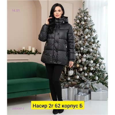 Куртка зима 2050080-2