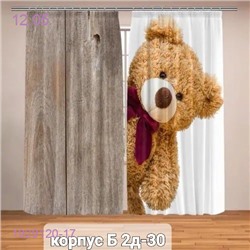 Фотошторы 3д 1929120-17