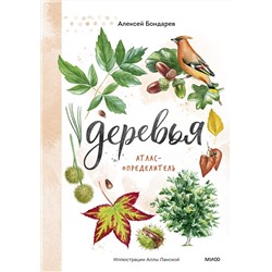 Эксмо Алексей Бондарев "Деревья. Атлас-определитель"