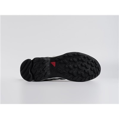 Кроссовки Adidas Terrex