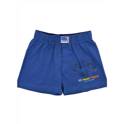 Трусы для мальчика Berrak