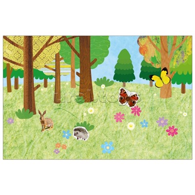 Фотонаклейки. В лесу