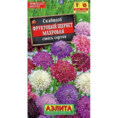 Скабиоза Фруктовый щербет махровая (Аэлита)