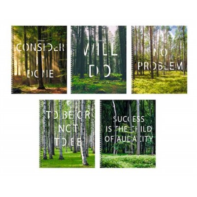 Тетрадь  48л клетка на спирали "Done!" ТС2Л488453 Listoff