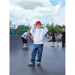 MARK FORMELLE Толстовка 123472