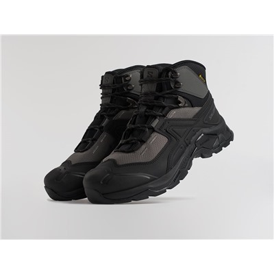 Ботинки Salomon Quest Element GTX