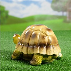 Садовая фигура из гипса «Черепаха Пашка», 21×14×13 см, МИКС