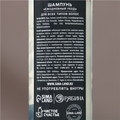 Подарочный набор новогодний «Сильному духом»: гель для душа и шампунь для волос, 2×100 мл, Чистое счастье