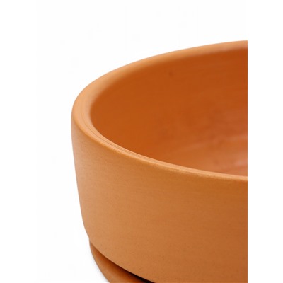 Горшок - бонсайница «Огма» для кактусов и суккулентов, 700 мл, d=15 см, h=5.5 см, керамика, с поддоном, терракот
