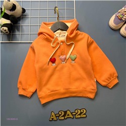 Кофта с начесом 1843660-8