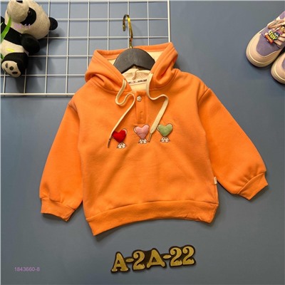 Кофта с начесом 1843660-8