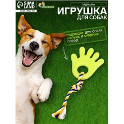 Игрушка жевательная для собак «Ладошка», 10 см, с канатом, салатовая