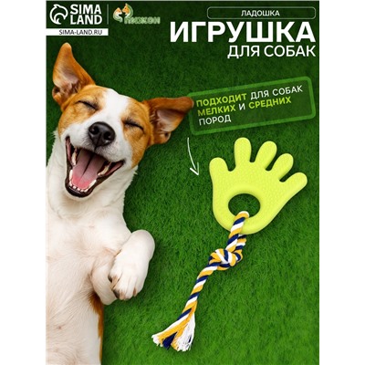 Игрушка жевательная для собак «Ладошка», 10 см, с канатом, салатовая