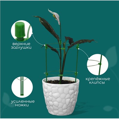 Кустодержатель, d=18 см, h=30 см, 2 кольца, металл, зелёный, Greengo