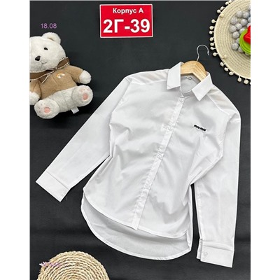 рубашка 1979202-1