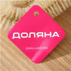 Ёршик для посуды Доляна, 42×6 см, МИКС