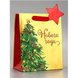 Пакет подарочный новогодний, с тиснением «Счастливого Нового года», люкс, 18×22.3×10 см