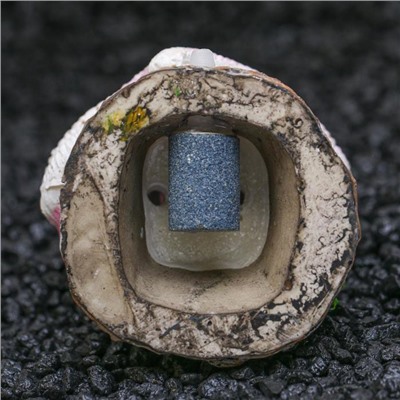 Распылитель «Раковина с жемчужиной», 5×3.5×5 см