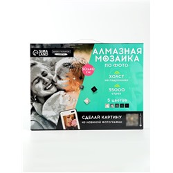Алмазная мозаика по фото, на раме 30×40, полное заполнение, Gray